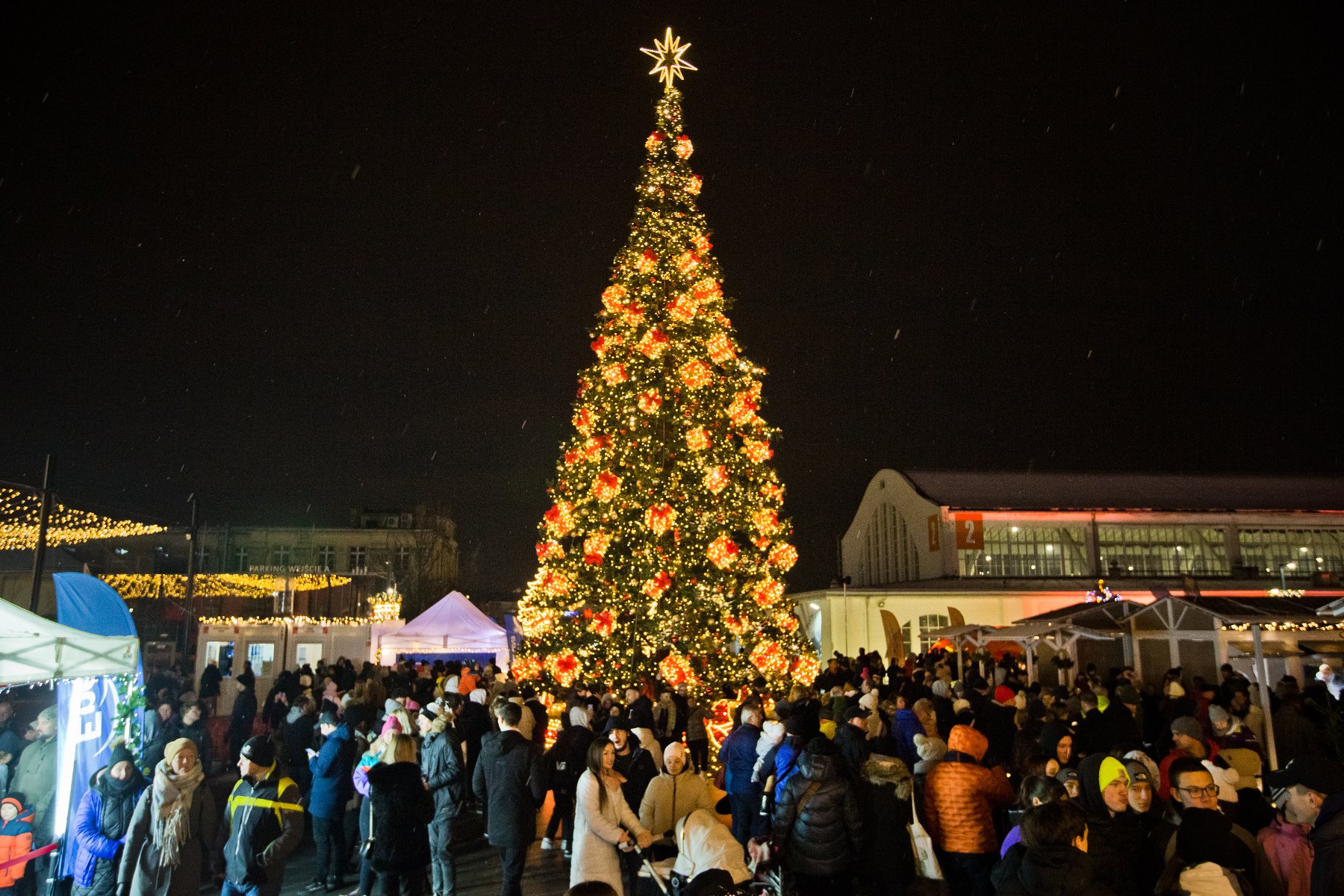 Christmas tree at MTP - grafika artykułu