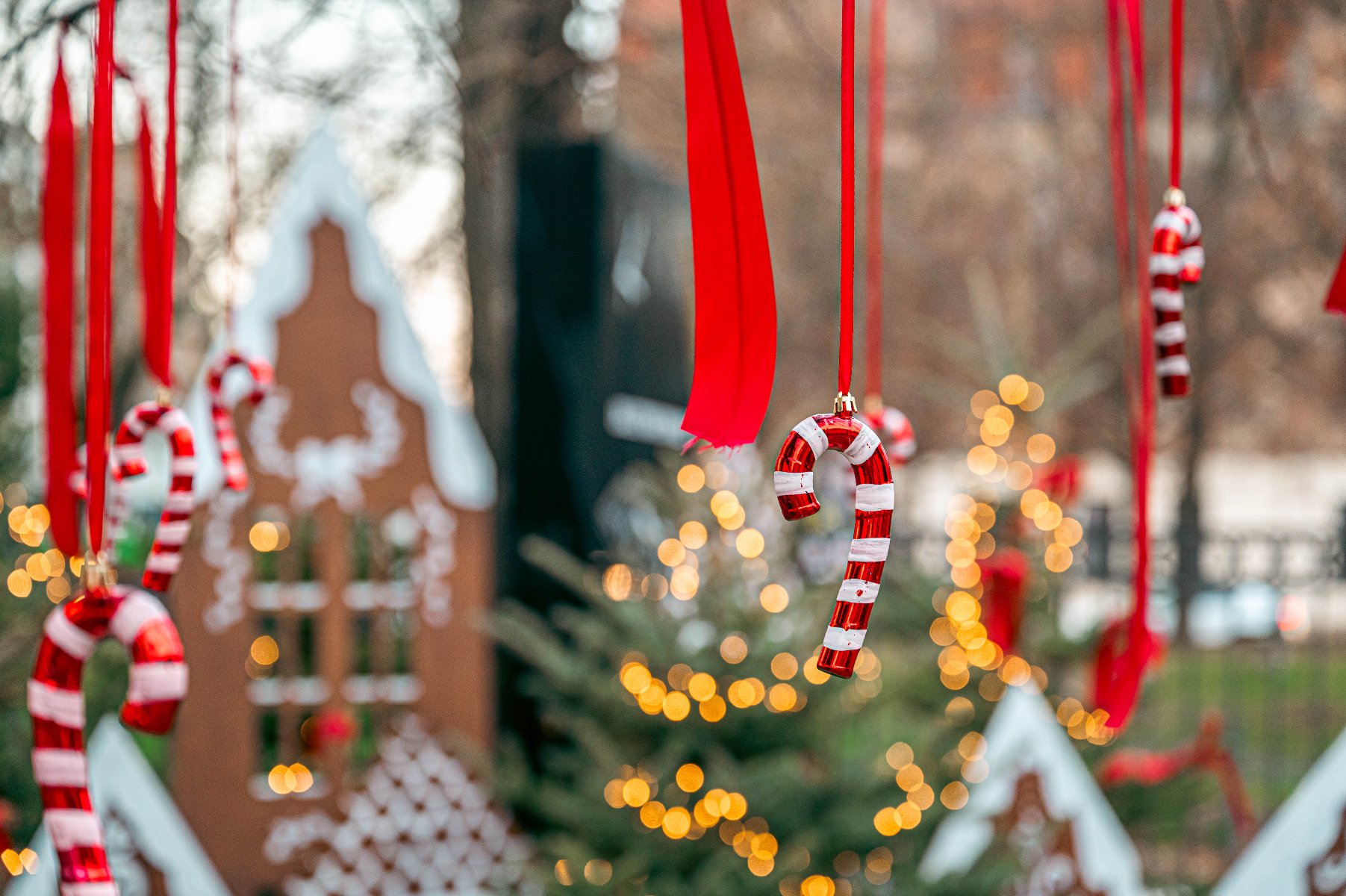 Ogłaszamy świąteczny konkurs!