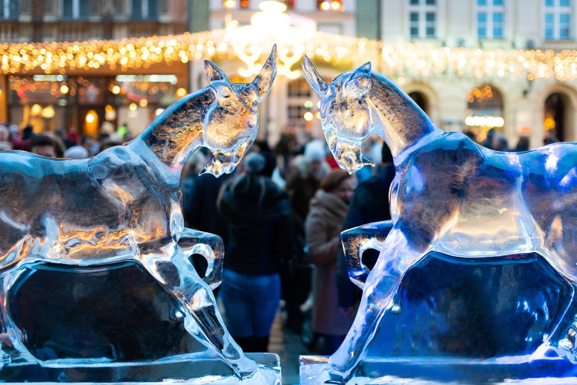 Poznań's goats made of ice