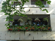 2 miejsce w kategorii balkon (1)kazimierz wielkiego 5-124 (6)