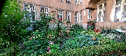 2 miejsce Wspólnota Mieszkaniowa Marcinkowskiego 11 Poznań (RO Stare Miasto) w kat. zieleńce.