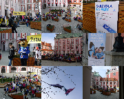 Dzień Motyla
