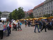 Dzień NGO