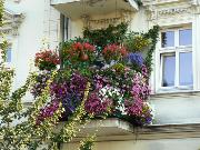 I miejsce - balkony