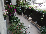 II miejsce balkon