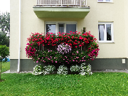 II miejsce - balkon