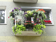 II miejsce w kategorii balkon