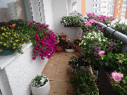 III miejsce balkon