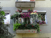 III miejsce balkon