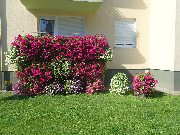 III miejsce - balkony
