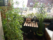 III miejsce w kategorii balkon