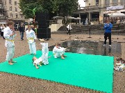 judo