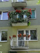 Konkurs 'Zielony Poznań' 2012