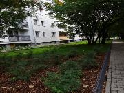 Konkurs 'Zielony Poznań' 2014