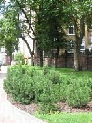 Konkurs 'Zielony Poznań' 2006