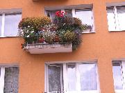 Konkurs 'Zielony Poznań' 2008