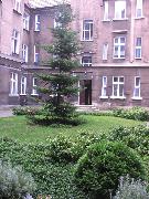Konkurs 'Zielony Poznań' 2010