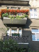 Konkurs 'Zielony Poznań' 2010
