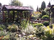 Konkurs 'Zielony Poznań' 2011