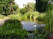 Ogród Botaniczny