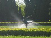Ogród Botaniczny