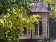 Ogród Botaniczny