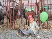 Piknik akademicki, czyli nauka tętniąca życiem