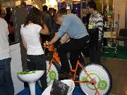 POLEKO 2010
