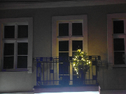 Poznań rozbłysnął ponad 180 choinkami świątecznymi!