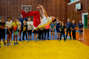 Salto T. Michalika