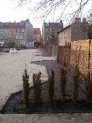 Skwer przy Rondzie Śródka (fot.Ogrody Odnowa)