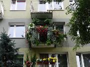 wyróżnienie - balkon - niekonwencjonalny dobór roślin i ciekawa aranżacja