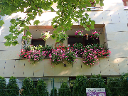 wyróżnienie Komisji Konkursowej - balkon