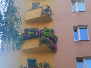 wyróżnienie Komisji Konkursowej - balkon