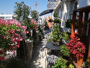 wyróżnienie w kategorii balkon