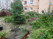 wyróżnienie w kategorii zieleniec za przestrzeń przyjazną mieszkańcomjaworowa 66