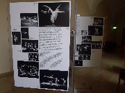Wystawa „45 lat z Polskim Teatrem”